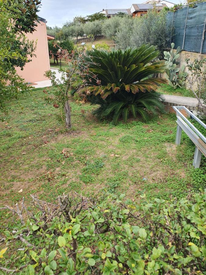 Casa Dell'Ape Maia Daire Termoli Dış mekan fotoğraf